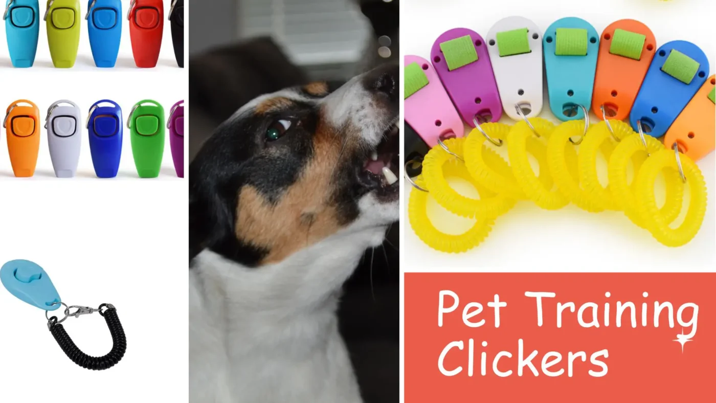 clicker training dog useful