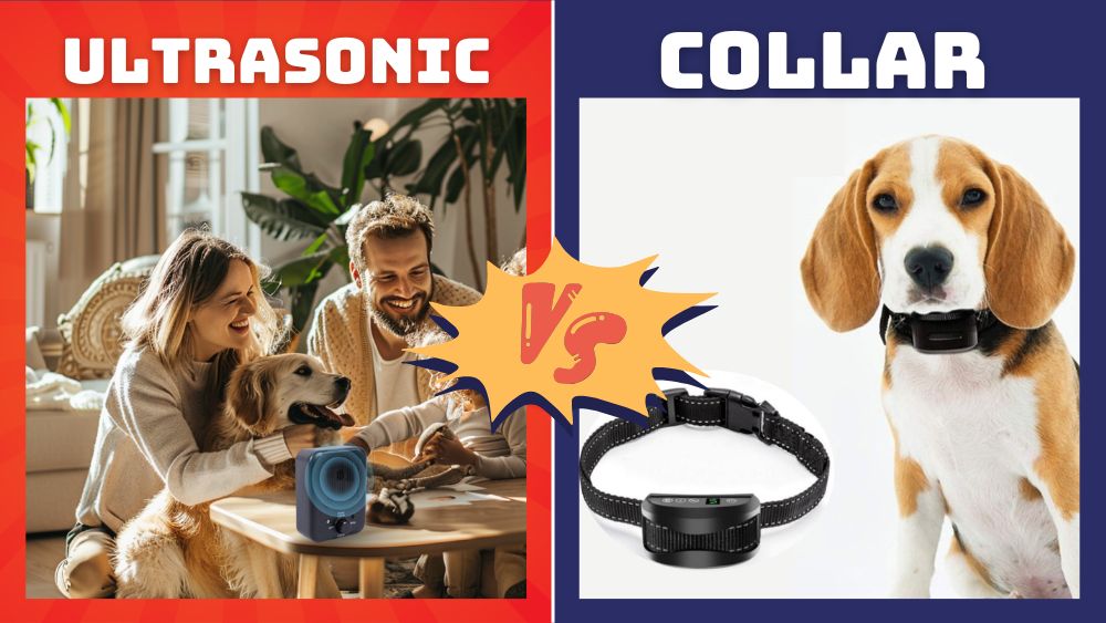 ultrasonic anti-barking devices vs anti-barking collar vibration shocking